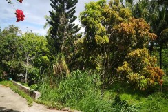 Lot for Sale in Malubog near Ayala Heights &  Sirao Flower Garder