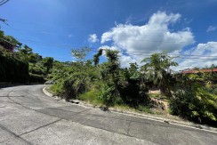 Residential Lot in Maria Luisa Estate Cebu