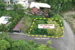 Residential Lot for Sale in Maria Luisa Estate  Corner Lot along