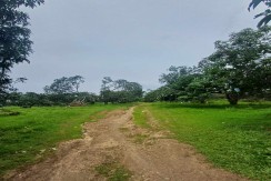 Mango's Farm Lot For Sale in Brgy. Napo , Sitio Mantatong, Carcar